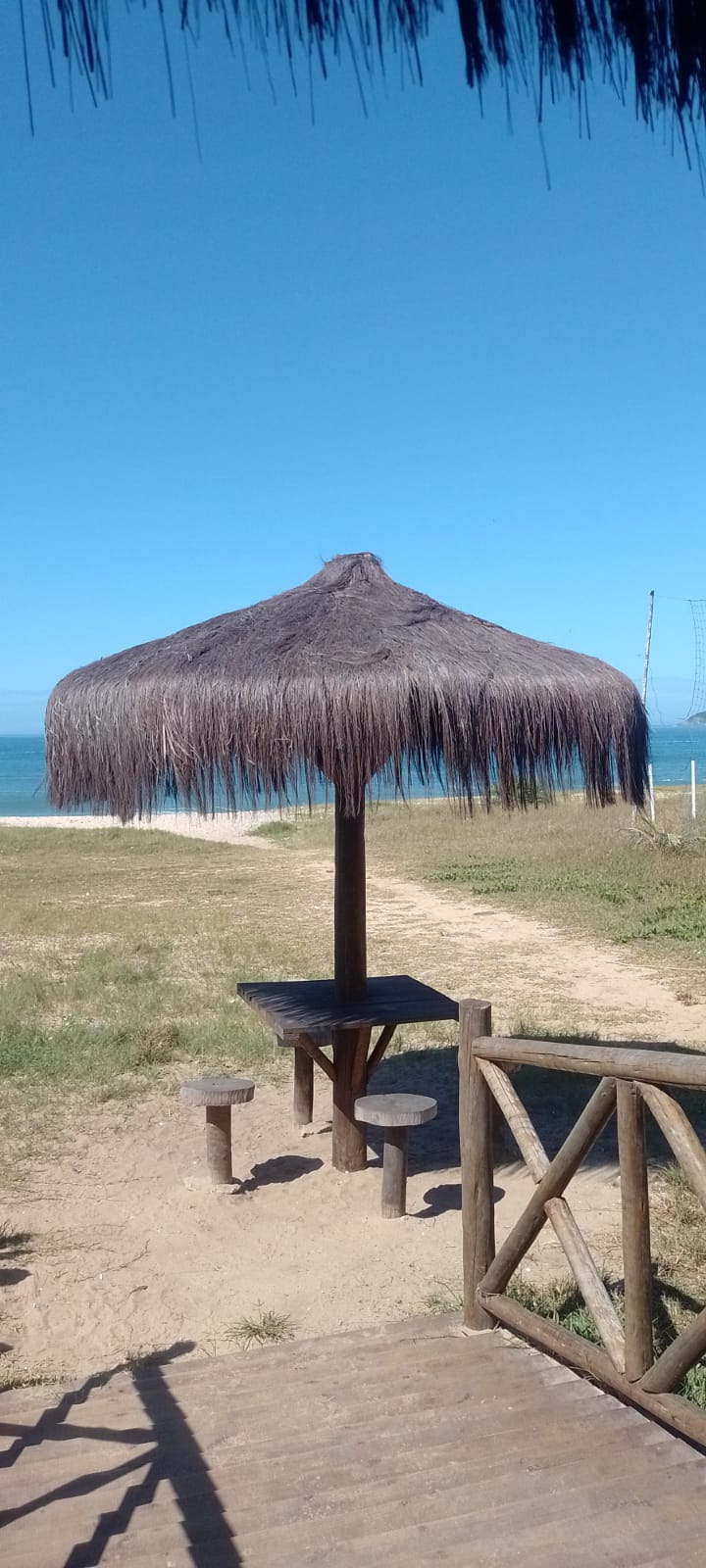 Chopana menor - modelo